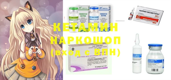 ГАЛЛЮЦИНОГЕННЫЕ ГРИБЫ Богданович