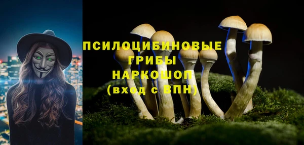 дурь Богородицк