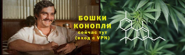 ГАЛЛЮЦИНОГЕННЫЕ ГРИБЫ Богданович
