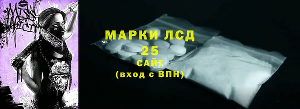 ГАЛЛЮЦИНОГЕННЫЕ ГРИБЫ Богданович