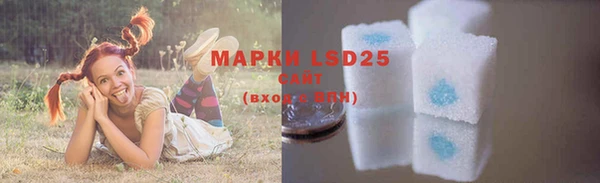 ешки Белокуриха