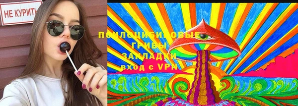 ГАЛЛЮЦИНОГЕННЫЕ ГРИБЫ Богданович