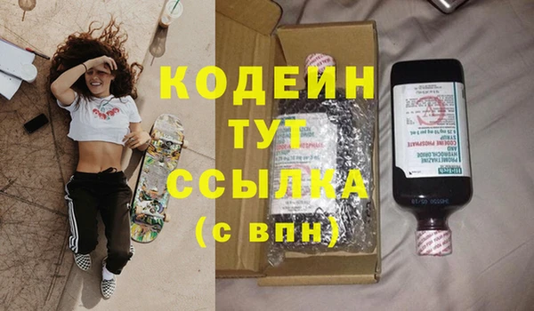 ГАЛЛЮЦИНОГЕННЫЕ ГРИБЫ Богданович