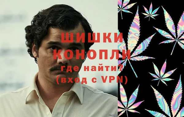 молекула духа Богородск