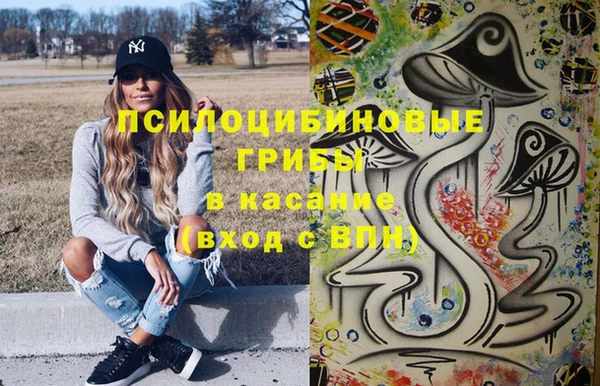 молекула духа Богородск
